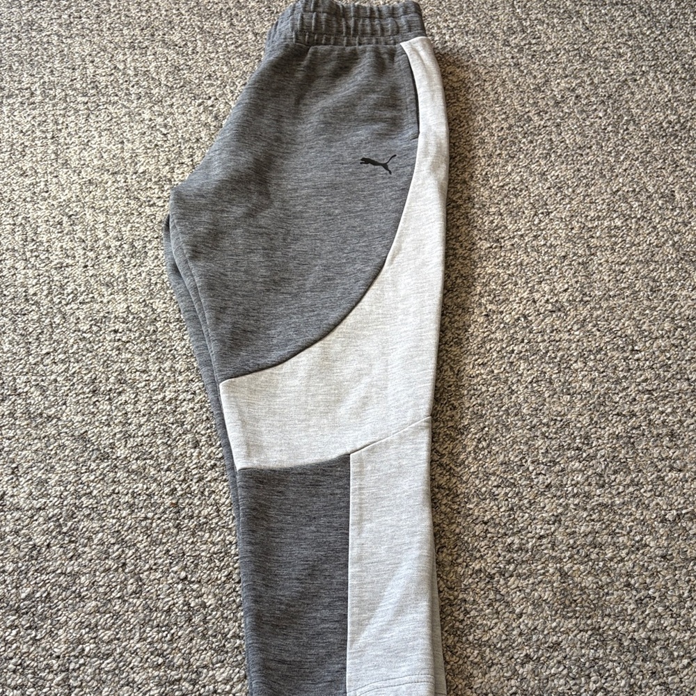 Puma Kids Two-Tone Gray Joggers